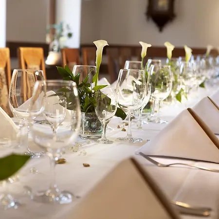 Hotel Celnice 4*