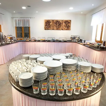 Hotel Garni Celnice 4*