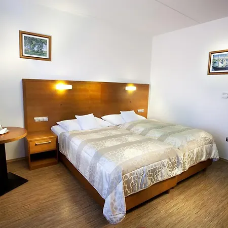 Hotel Celnice